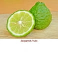 thumbnail image 3 of Bergamot Essential Oil 10 ml (1/3 fl oz) - 100% Pure and Natural by Silky Scents, 3 of 5