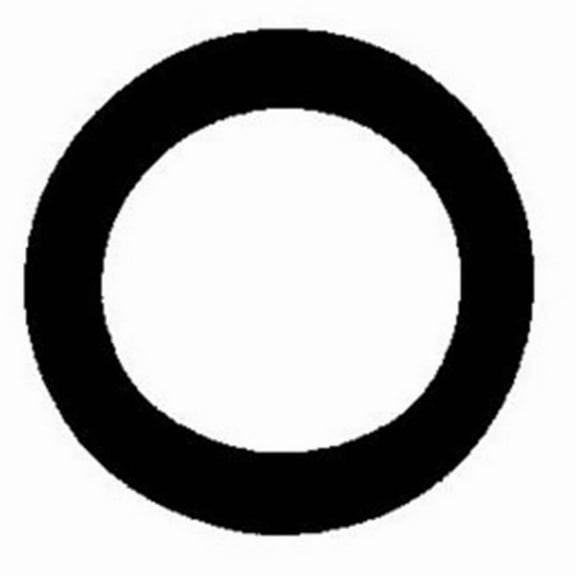 CMP 25550040000 Pool Wall Fitting Rubber Gasket