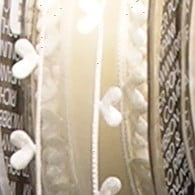 The Ribbon People Ivory Heart Edged Organdy Craft Ribbon 1.5" x 44 Yards