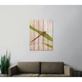 thumbnail image 6 of Day Dream HQ DF2836 28 x 36 in. Dragon Fly Inside & Outside wood Wall Art, 6 of 7