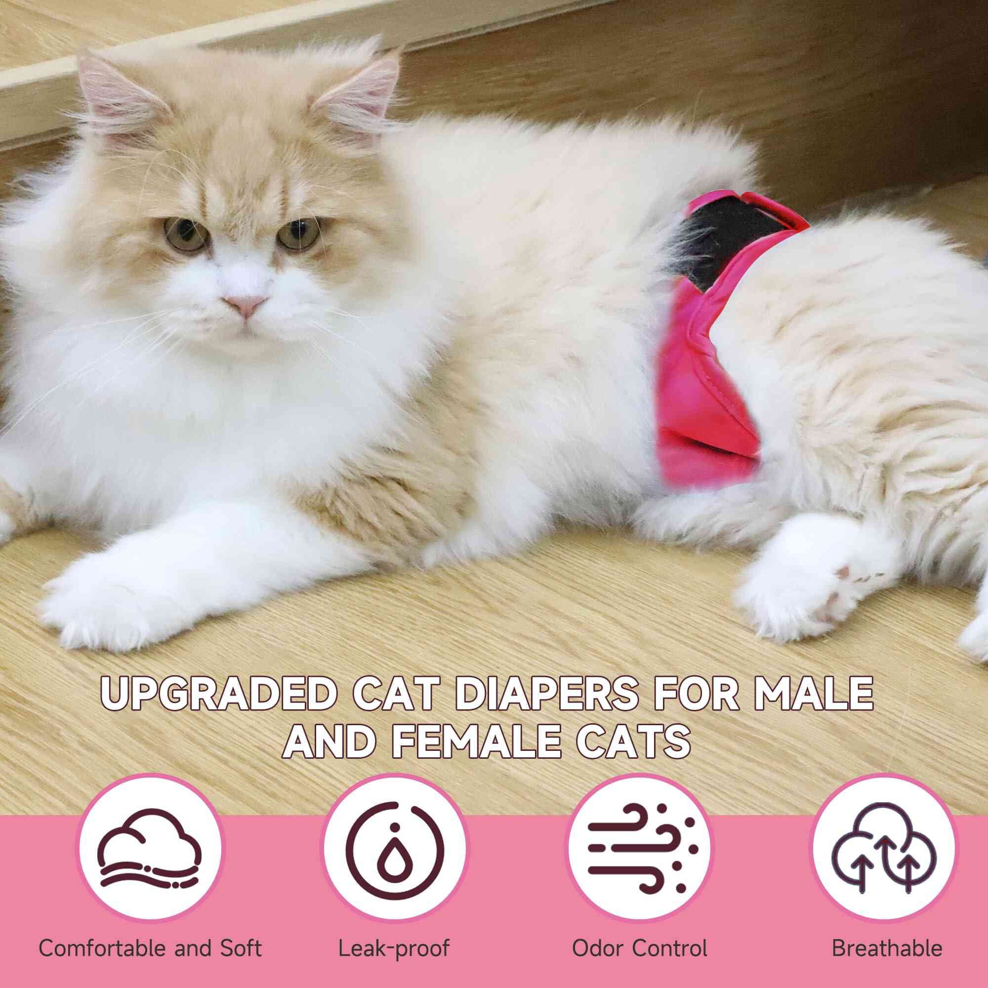 Paw Legend Cat Diapers for Female Cats Spraying Washable Reusable Kitten Diapers for Cats Incontinence Pet Diapers (3 Pack, Colorful, Large)