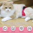 thumbnail image 6 of Paw Legend Cat Diapers for Female Cats Spraying Washable Reusable Kitten Diapers for Cats Incontinence Pet Diapers (3 Pack, Colorful, Small), 6 of 7