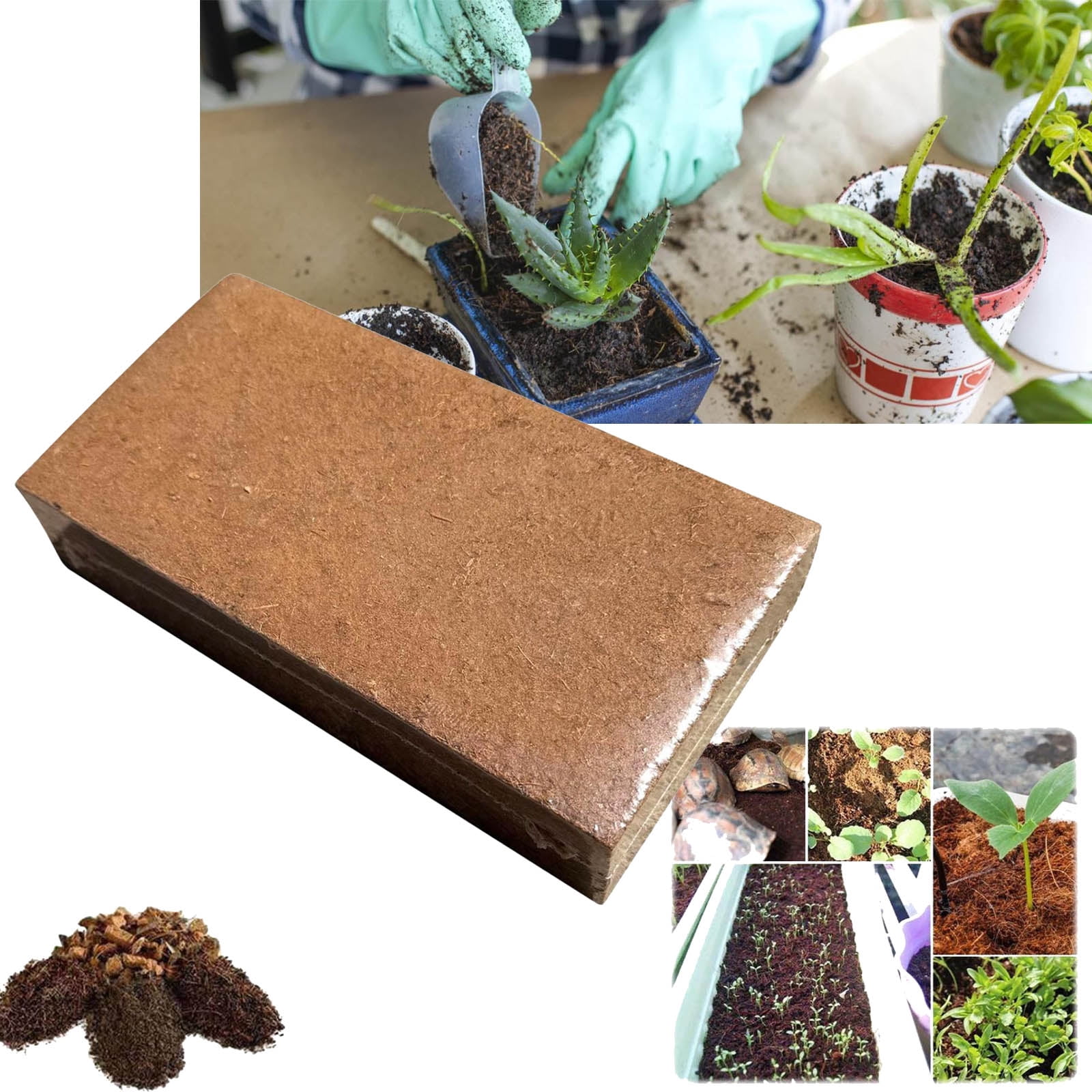 Zoo Med Creature Soil For Spiders, Insects & Other Invertebrates