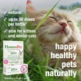 thumbnail image 4 of HomeoPet Feline UTI+ Urinary Tract Health Support Drops for Cats, 15 mL, 4 of 8