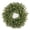 #AsShown3, variant on Pumpkin Berry Hydrangea Wreath-17.7" Fall Decor for Doors & Entryways Thanksgiving & Holiday Decoration Artificial Wreath with Maple Leaves