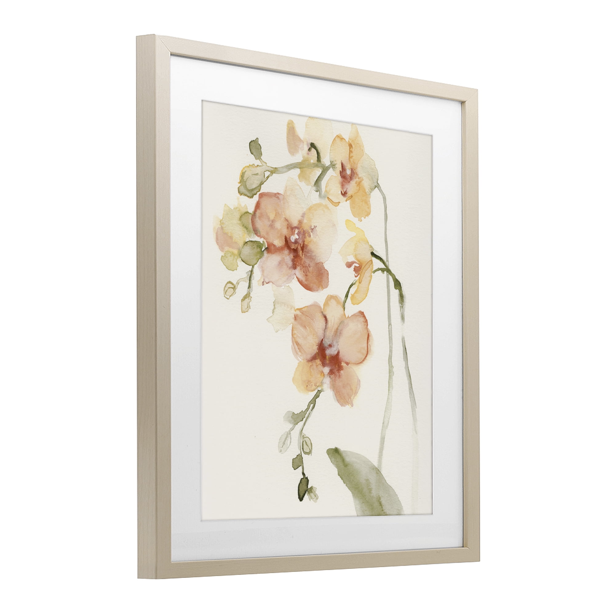 Stupell Industries Peach Orchid in Bloom Birch Framed Print Under Glass, design by Victoria Barnes