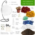 Plant Terrarium Kit W/Live Succulent ( from Florida), Choose Your Glass