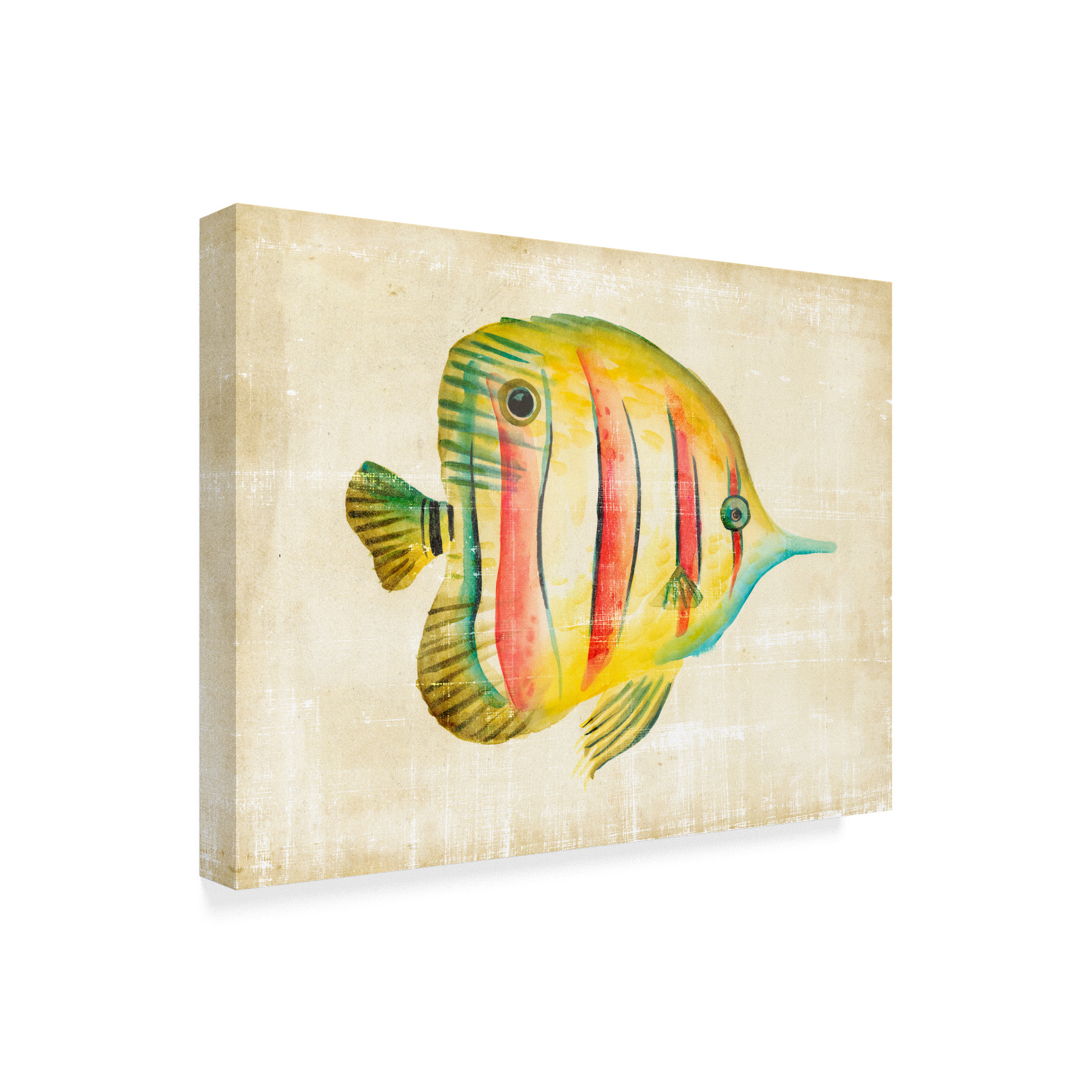 Trademark Fine Art 'Aquarium Fish III' Canvas Art by Chariklia Zarris