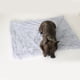 thumbnail image 3 of Greeniant Manta portátil para perros para mascotas, suave y tierna calidez en todas partes, manta para acurrucarse para mascotas, mantiene el Suministros para perros Rosa, rosa 56*36 CM, 3 of 6