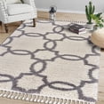 thumbnail image 1 of Lr Home Outlander 5 x 7 Cream & Light Gray Geometric Trellis Fringe Rectangle Shag Rug, 1 of 12