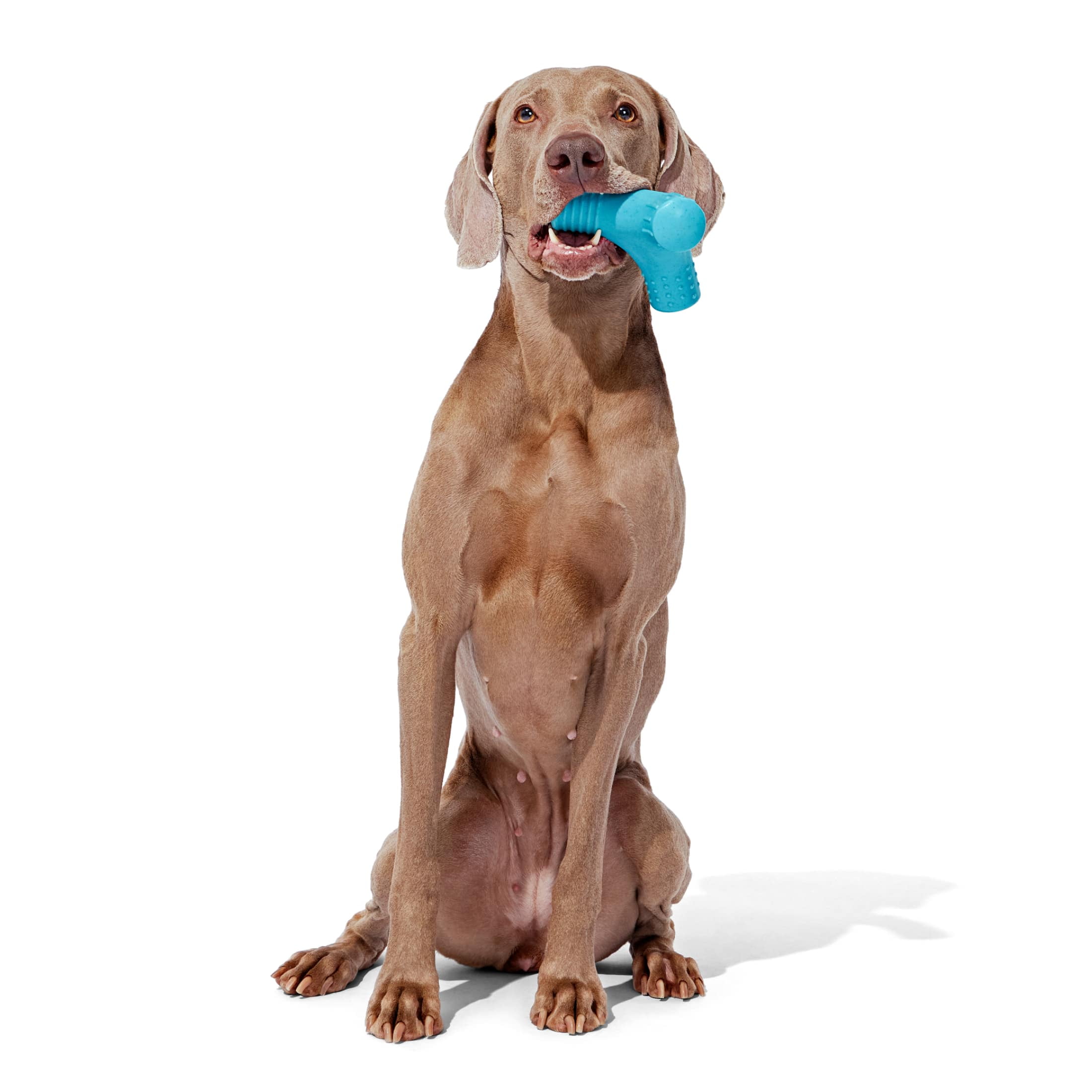 BARK Trixel Extra Large Super Chewer Nylon Dog Toy, Tough Chew