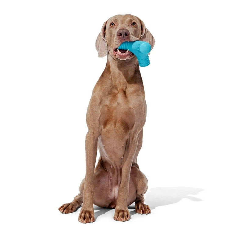 BARK Trixel Extra Large Super Chewer Nylon Dog Toy, Tough Chew