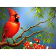 thumbnail image 1 of Pintura de diamante 5D DIY Taladro redondo completo Kit cardenal Decoración del hogar Artesanía(2) FLhrweasw Nuevo, 1 of 9
