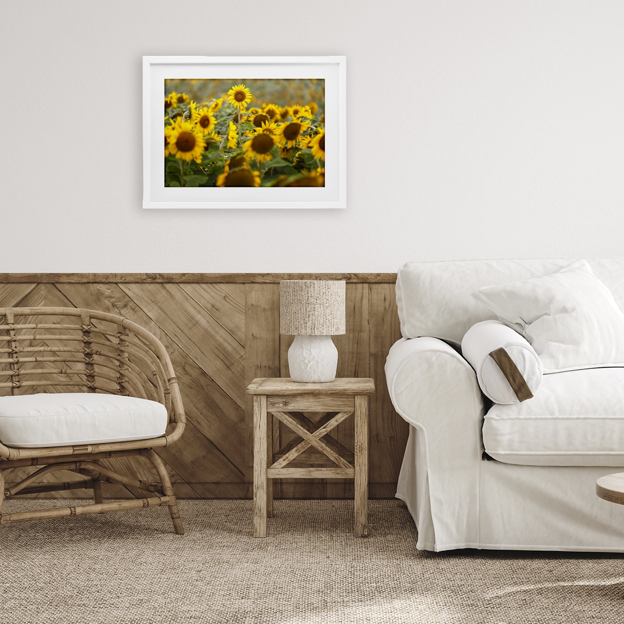 Central Sunflower in Meadow White Framed Print Under Glass, design by Andy Crawford