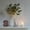 Eucalyptus, variant on Lighted Eucalyptus Branches 24IN 36 LED with Timer  Operated Lit Artificial Greenery for Wedding Party  Spring Decoration Indoor Outdoor