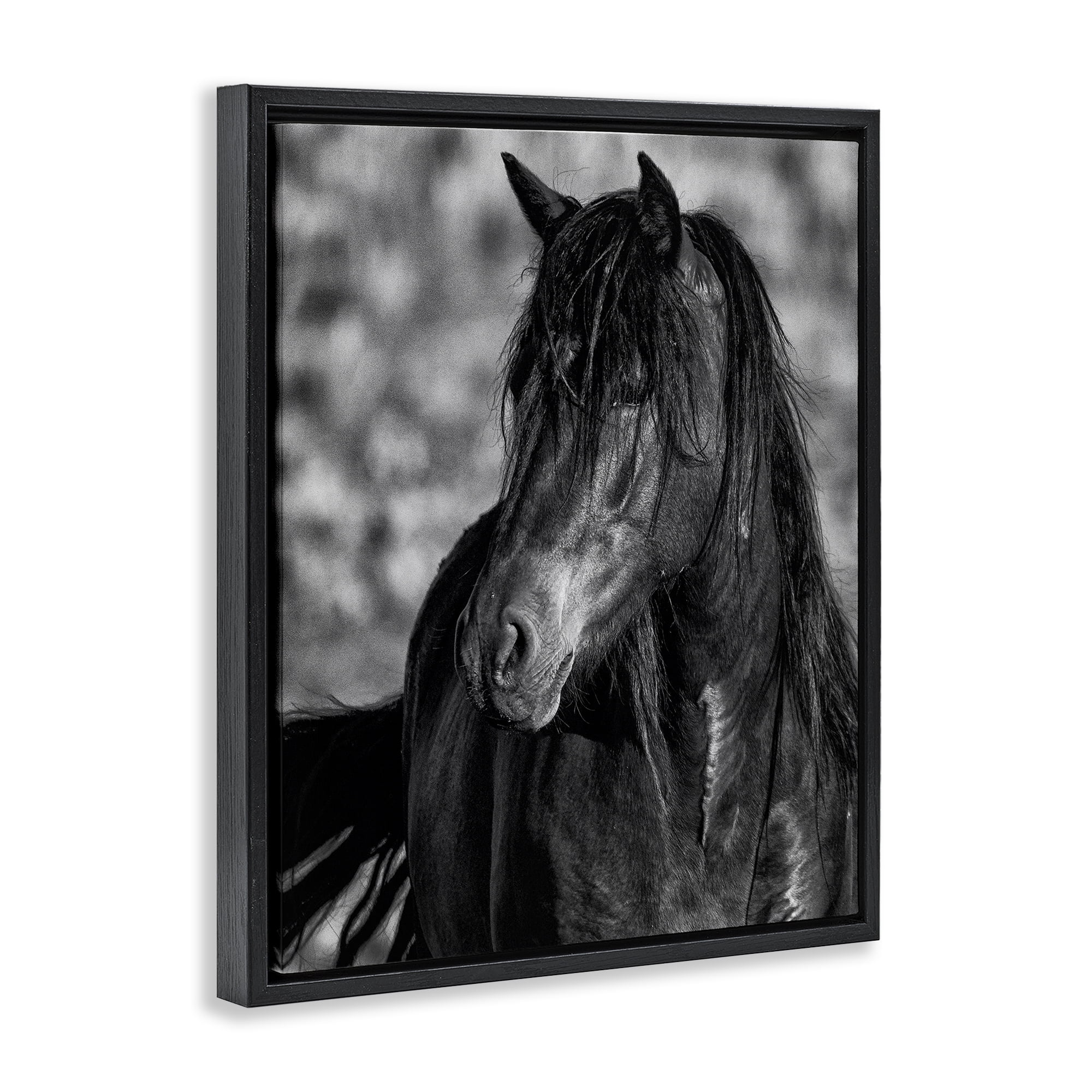 Stupell Industries Beauty In Black Black Framed Floater Canvas Wall Art, design by Tim West