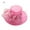 6#, variant on Valentines Day Gifts Clearance Women Sun Hat with Mesh Flower Decoration Wide Brim Ladies Hat Occasion Event Organza Fancy Church Dress Hat Clearance