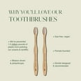 thumbnail image 3 of PLUS ULTRA Bamboo Toothbrush, Soft Bristle All-Natural Toothbrush Brush Smile Repeat Handle, 3 of 6