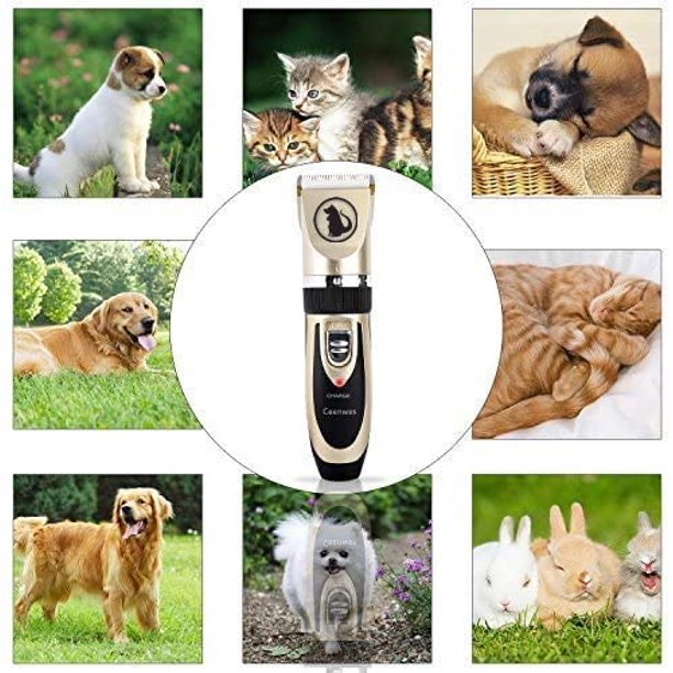 Cortapelos para perros Cortapelos para mascotas de bajo ruido Cortapelos para perros recargable inalámbrico Herramienta de aseo para mascotas Cortapelos profesional para perros con guía co.ukb Tijeras Kits de uñas para gatos y otros perros D ACTIVE Biensenido a ACTIVE
