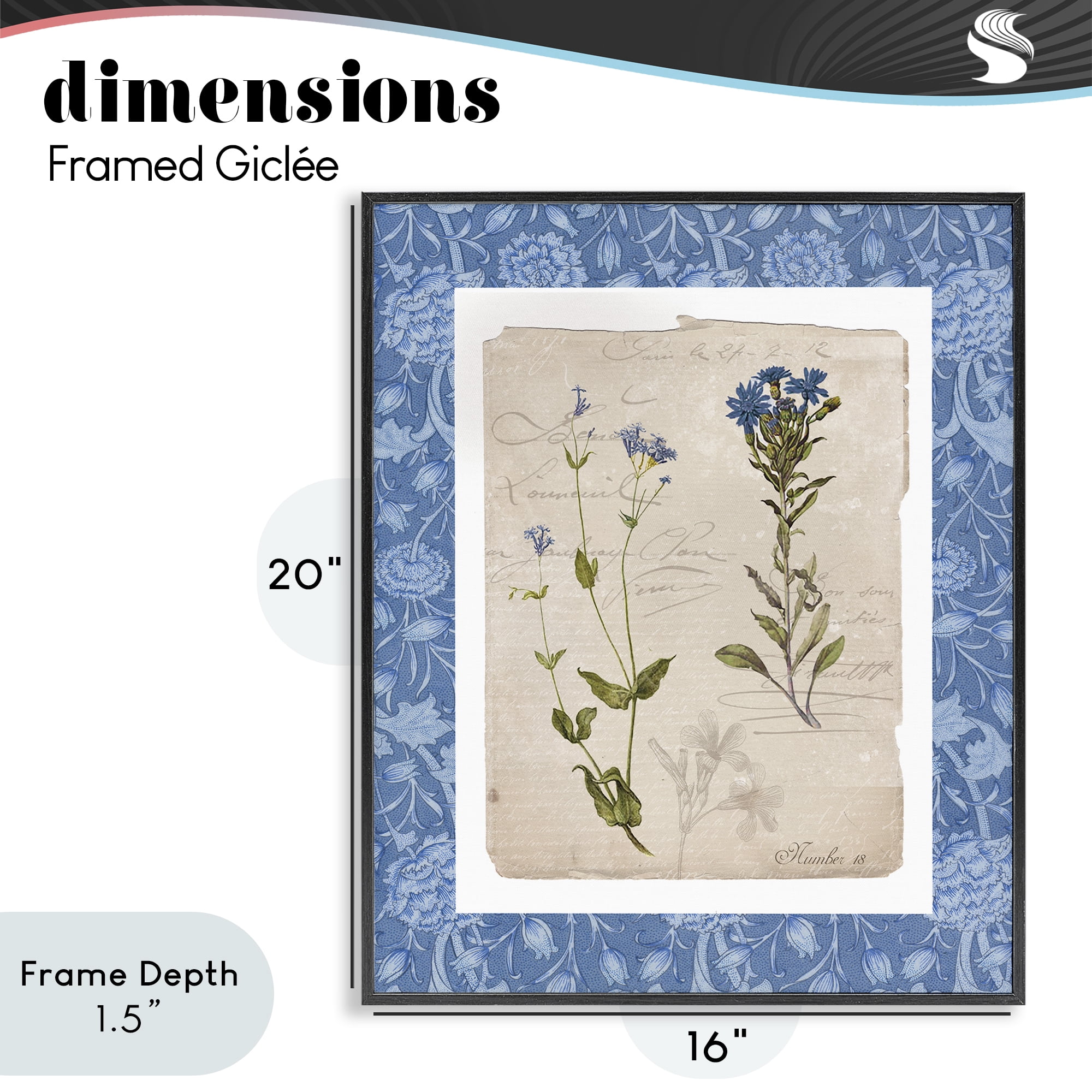 Stupell Industries Blue Vintage Botanicals Black Framed Giclee Art, design by Livi Finn