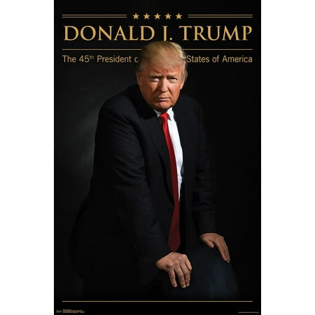 Donald Trump (Best Anti Trump Posters)