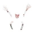 thumbnail image 2 of Skeleton Set Esqueleto De Cuerpo Completo Para Decoración De Halloween sonducket HA044461-02, 2 of 6
