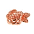 thumbnail image 1 of Hebilla de Cierre Especial Sunnimix Chapado en oro, 1 of 8