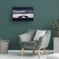 thumbnail image 2 of Trademark Fine Art Andrea Haase Ortega Topis fighting Canvas Wall Art, 2 of 4