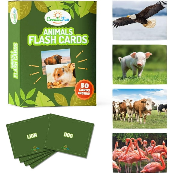 Animal Flash Cards - 50 Educational Flash Cards for Children and Adults - Fun Vocabulary Builder Flash Cards for Speech Therapy, ESL, Occupational Therapy, and More