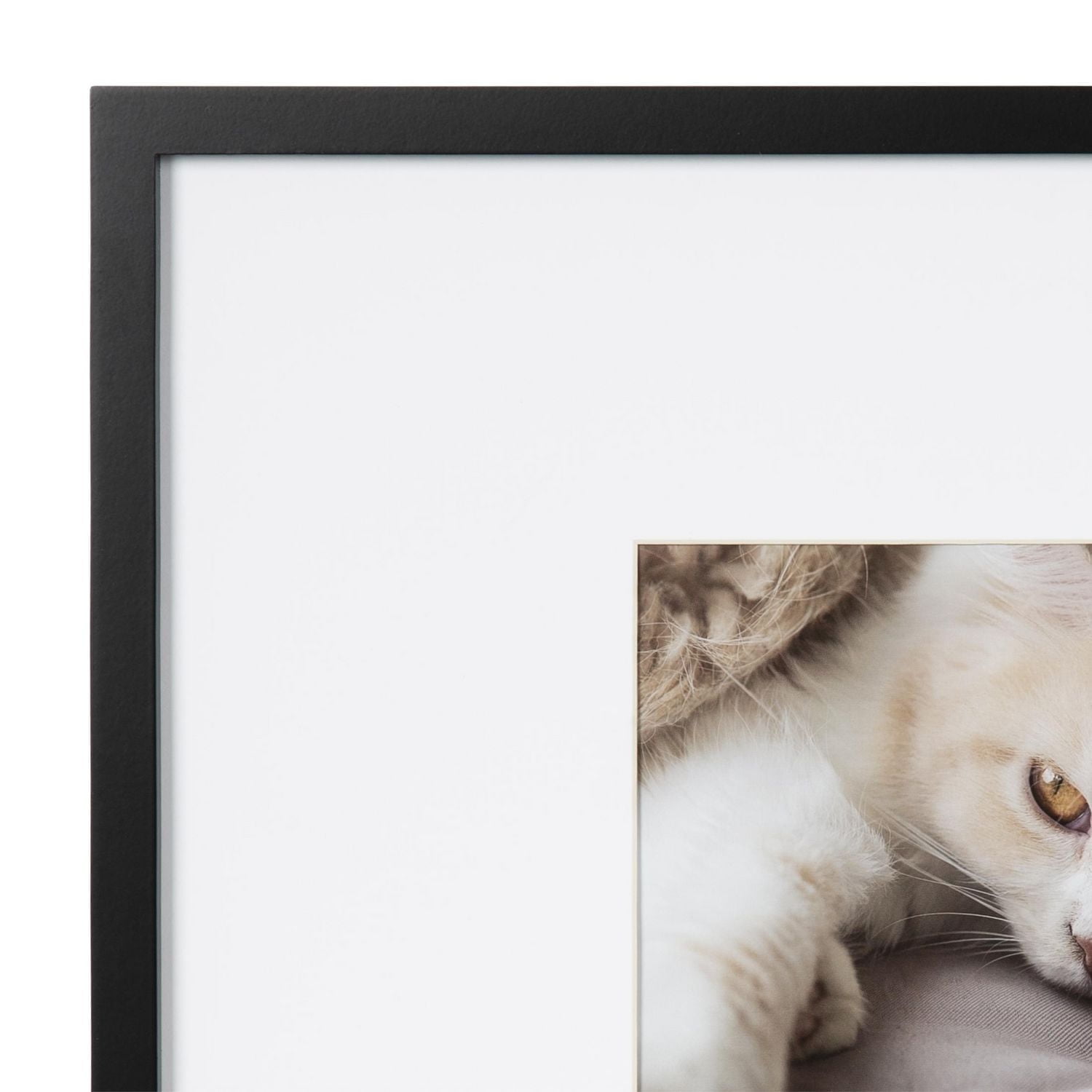 LUCKYLIFE Lot De 2 Cadres Photo Blancs De 40,6 X 50,8 Cm, Affichage 27,9 X 35,6 Cm Avec Passe-partout Ou 40,6 X 50,8 Cm Sans Passe-partout, Cadre
