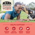 thumbnail image 4 of ACANA Wholesome Grains Dry Dog Food, Red Meat and Grains, Gluten Free, Beef, Pork, and Lamb Recipe, 4lb, 4 of 4