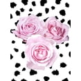 thumbnail image 2 of Prime, Marcus 12x14 Black Ornate Wood Framed with Double Matting Museum Art Print Titled - Dalmatian Roses 2, 2 of 4