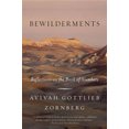 thumbnail image 2 of Confusions, Réflexions sur le Livre des Nombres, 2 of 2