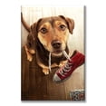 thumbnail image 1 of Cuadro Canva Listo Para Colgar Tipo Galería Perro Con Tenis 50X75 cm, 1 of 4