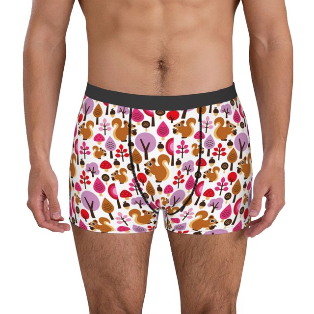 Fotbe Squirrel In The Forest Calzoncillos Tipo Boxer con Bolsa de Soporte Total para Hombre, X-Temp Fresco, Transpirable y de Secado Rápido-Large