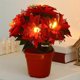 thumbnail image 1 of Tabletop Poinsettia Tree Light Christmas Plant With Lights Poinsettia Flowers Artificial Lighted For Holiday Party Centerpiece Table Decor Christmas, 1 of 5