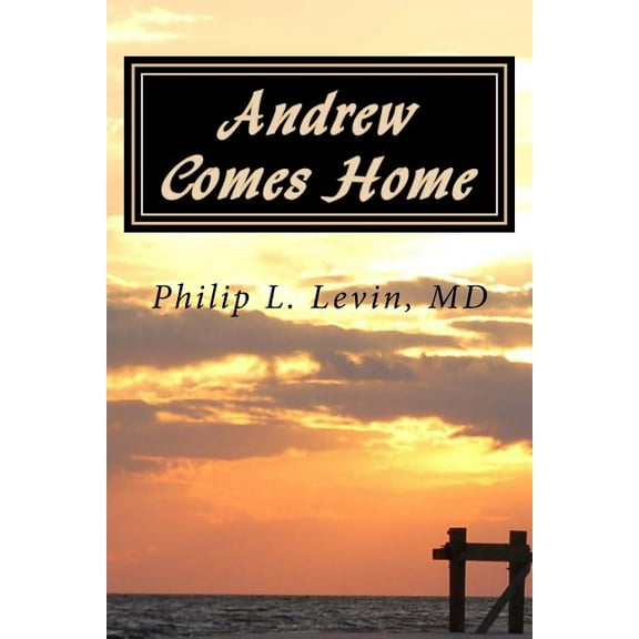 Andrew Comes Home: A Mississippi Tale of Love and Recovery (Paperback) by Philip L Levin