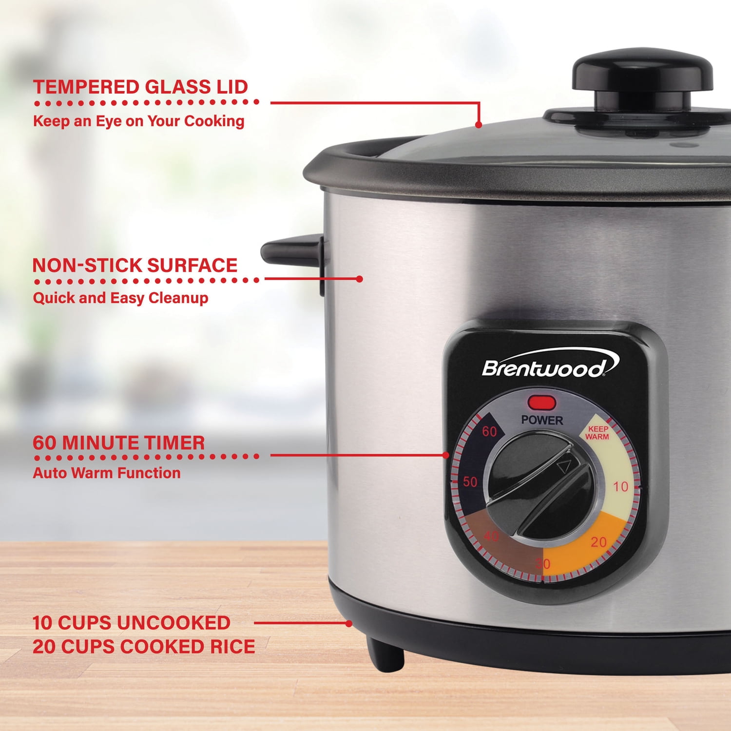 Brentwood Appliances TS-1020S 10-Cup Uncooked/20-Cup Cooked 700-Watt Stainless Steel Crunchy Persian Rice Cooker with Lid