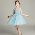 thumbnail image 4 of Robe de Princesse pour Fille, Cadeau d'Anniversaire, Robe de Demoiselle d'Honneur, Col Rond, Sans Manches, Nœud Solide, Robe de Princesse, 4 of 4
