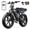 R9-Black+2*15Ah+holder+lock, variant on Electric Bike for Adults, 750W Peak 1500W Motor, 20"x4" Fat Tire E Bicycle, Mechanical Disc Brakes, E Mountain Bike, 48V/15AH UL2849, App Control