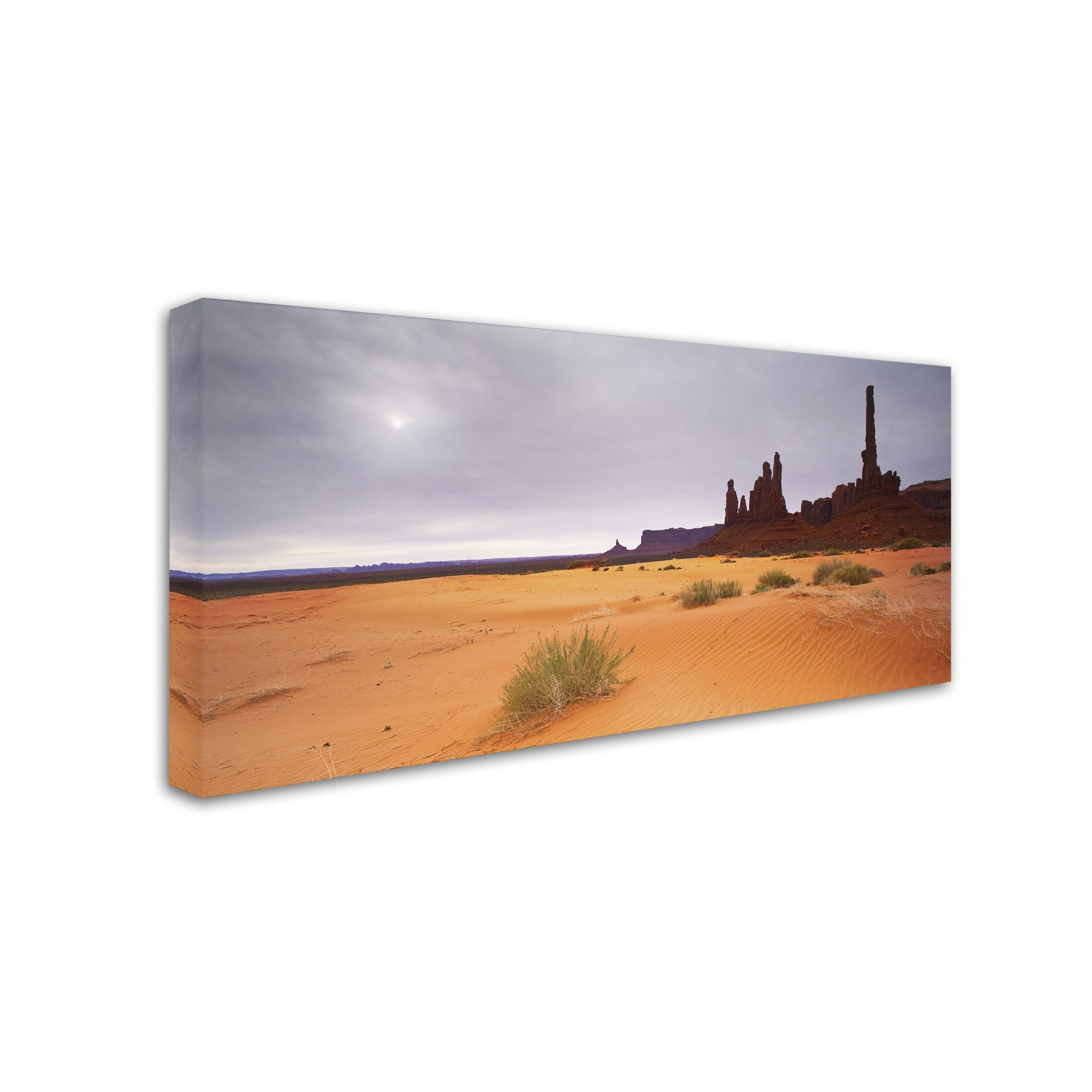Trademark Fine Art "Monument Valley Panorama I" Canvas Art by Moises Levy