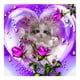 thumbnail image 2 of Cuadros Decorativos Mosaico diamante pintura 5D gato rosa diamante bordado dibujo Kit decoración del hogar Tmvgtek embutido en tela, 2 of 9
