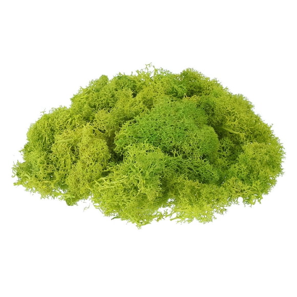 Uxcell 1 Pcs Preserved Reindeer Moss 17.6oz Fake Moss for Crafts Artificial Dried Moss for Decoration Chartreuse