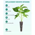 thumbnail image 3 of 50 Pack Grow Sponges, Seed Pods Replacement Root , Refill Pods For Hydroponic Indoor Garden Growing, 3 of 5
