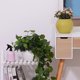 thumbnail image 5 of Macetas con riego automático shamjiam para plantas de interior Amarillo, 5 of 8