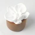 thumbnail image 7 of Jiibva Flower Diffuser No Perfume DIY Fragrance Decoration Desktop Living Room Bedroom Car Home Accessories Aromatherapy, 7 of 7