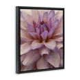 thumbnail image 4 of Stupell Industries Purple Dahlia Petals Botanical & Floral Painting Black Floater Framed Art Print Wall Art, 25 x 31, 4 of 10