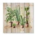 thumbnail image 3 of Designart 'Indoor Green Home House Plants in Pots I' Traditional Print on Natural Pine Wood, 3 of 5