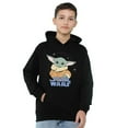 thumbnail image 1 of Star Wars Chandail à Capuchon Grogu pour Garçons/filles, 1 of 6