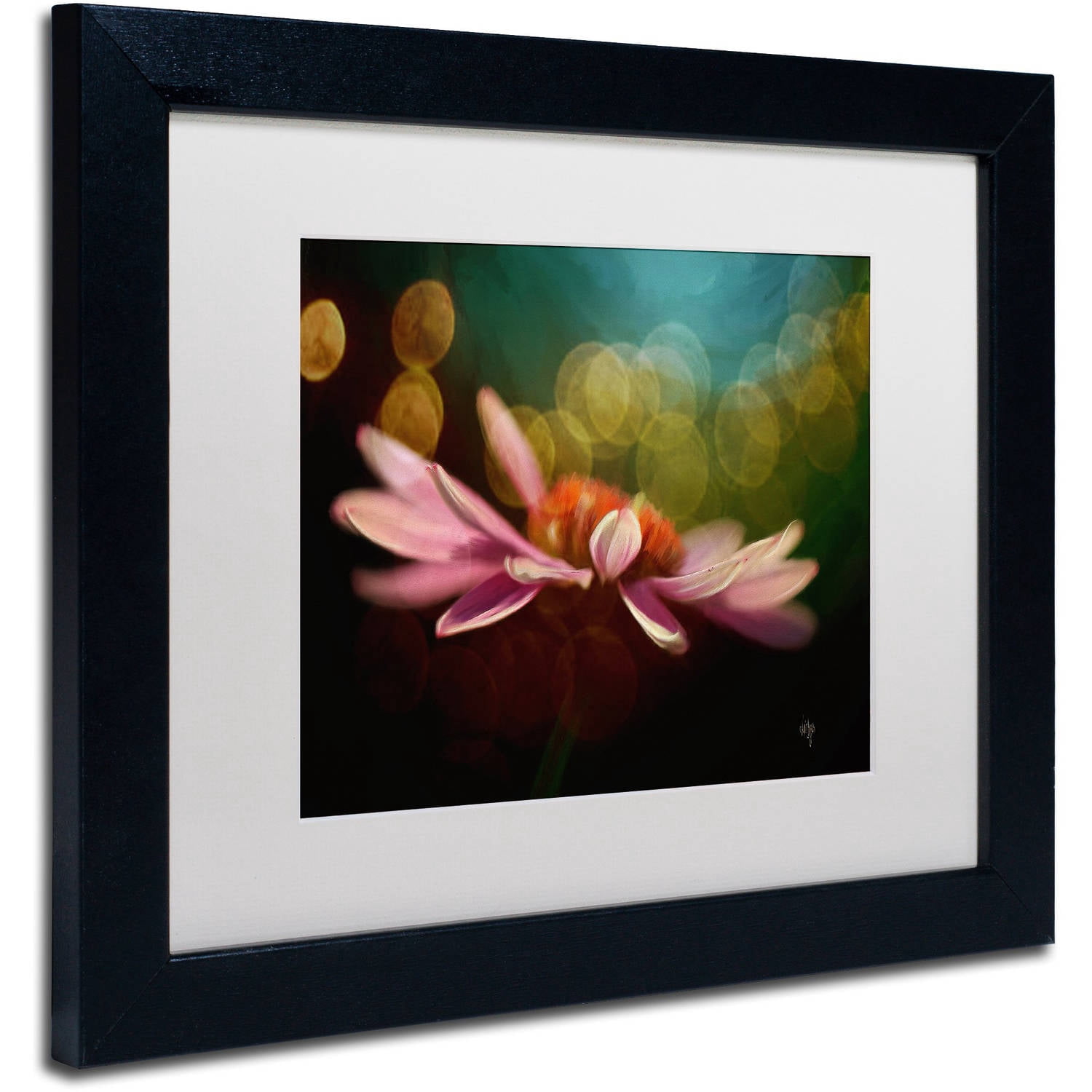 Trademark Fine Art "The Secret World of Coneflowers" Canvas Art by Lois Bryan White Matte, Black Frame